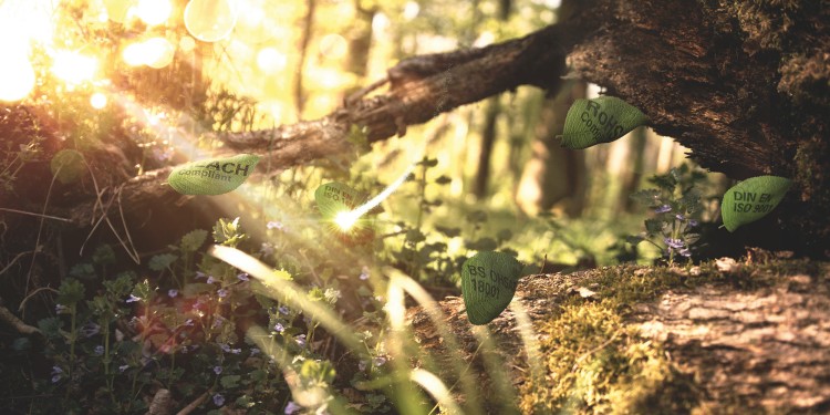 Advertising picture Sustainability: Untouched nature